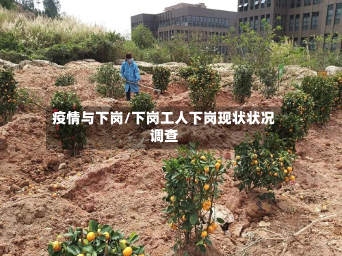 疫情与下岗/下岗工人下岗现状状况调查
