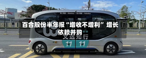 百合股份半年报“增收不增利” 增长依赖并购-第2张图片