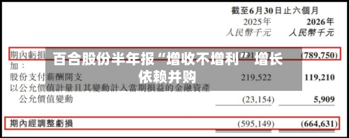 百合股份半年报“增收不增利” 增长依赖并购-第3张图片