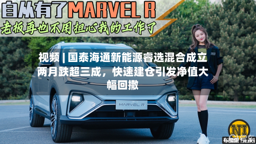 视频 | 国泰海通新能源睿选混合成立两月跌超三成，快速建仓引发净值大幅回撒-第2张图片