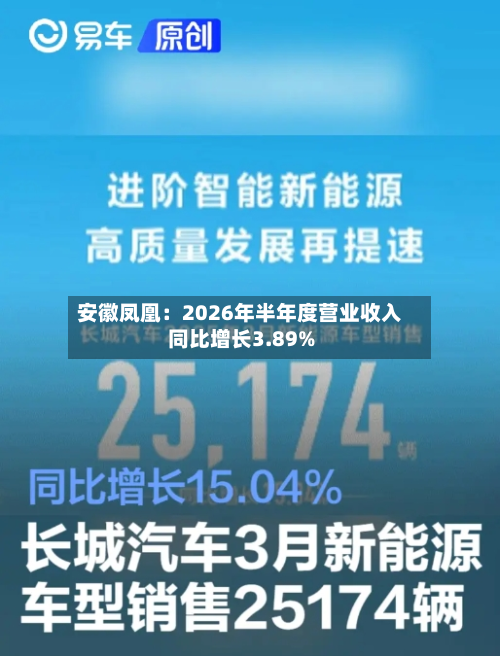 安徽凤凰:2026年半年度营业收入同比增长3.89%-第3张图片