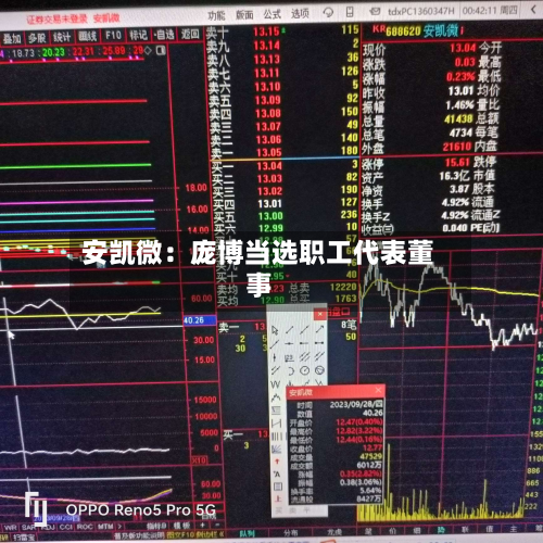 安凯微:庞博当选职工代表董事-第3张图片