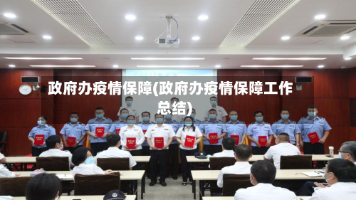 政府办疫情保障(政府办疫情保障工作总结)-第3张图片