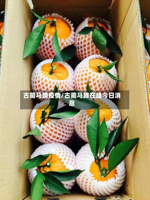 古蔺马蹄疫情/古蔺马蹄在线今日消息