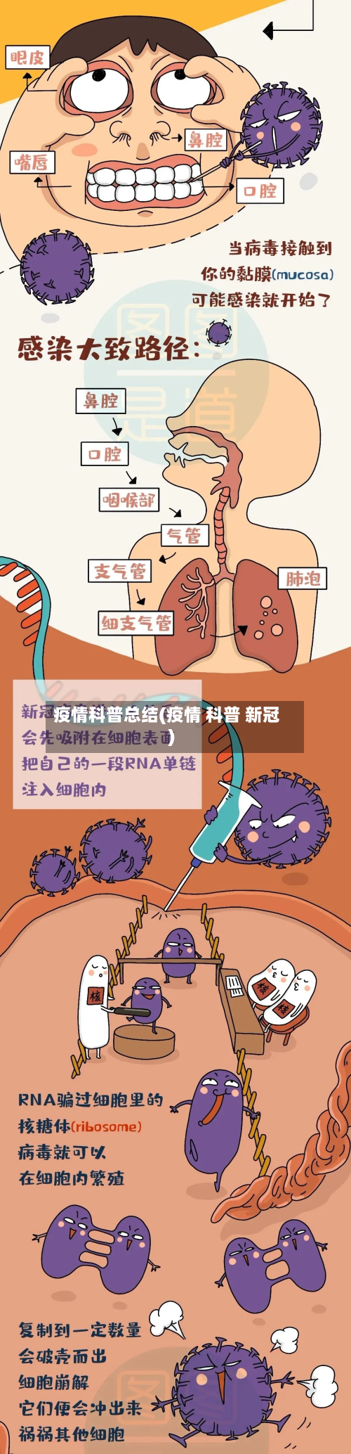 疫情科普总结(疫情 科普 新冠)