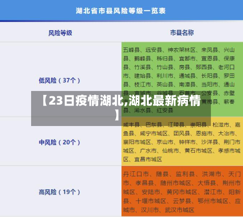【23日疫情湖北,湖北最新病情】-第3张图片