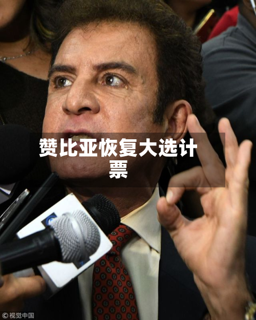 赞比亚恢复大选计票