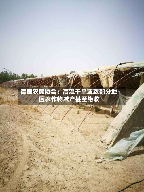 德国农民协会：高温干旱或致部分地区农作物减产甚至绝收