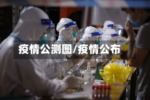 疫情公测图/疫情公布