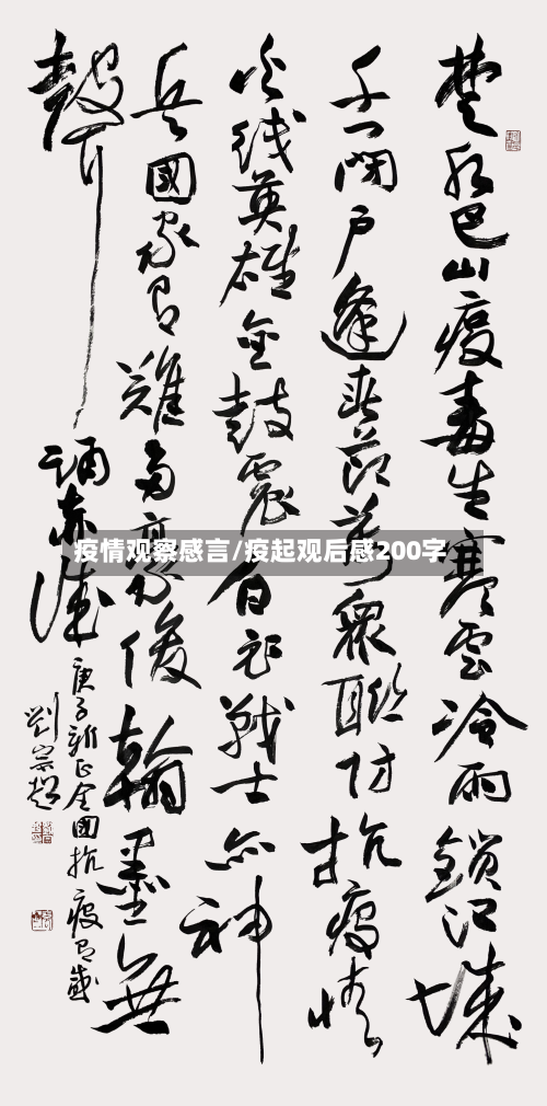 疫情观察感言/疫起观后感200字-第3张图片