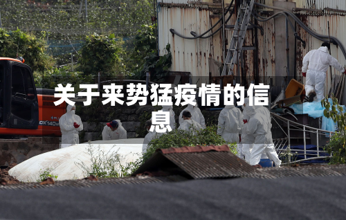 关于来势猛疫情的信息-第3张图片