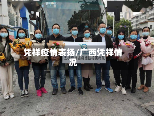 凭祥疫情表扬/广西凭祥情况