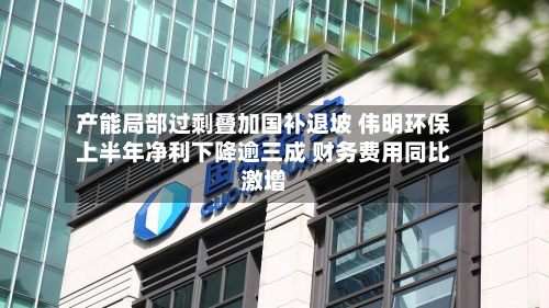 产能局部过剩叠加国补退坡 伟明环保上半年净利下降逾三成 财务费用同比激增-第2张图片