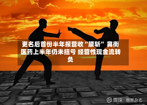 更名后首份半年报营收“腰斩” 冀衡医药上半年仍未扭亏 经营性现金流转负-第1张图片