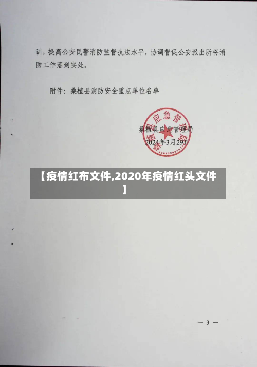 【疫情红布文件,2020年疫情红头文件】