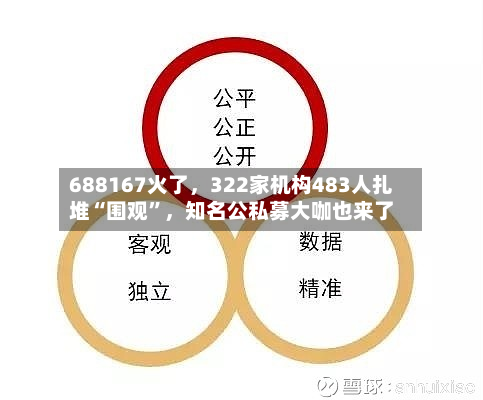 688167火了，322家机构483人扎堆“围观”，知名公私募大咖也来了-第3张图片