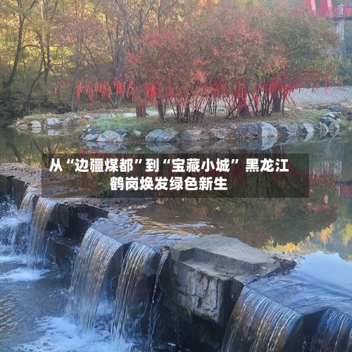 从“边疆煤都	”到“宝藏小城” 黑龙江鹤岗焕发绿色新生-第2张图片