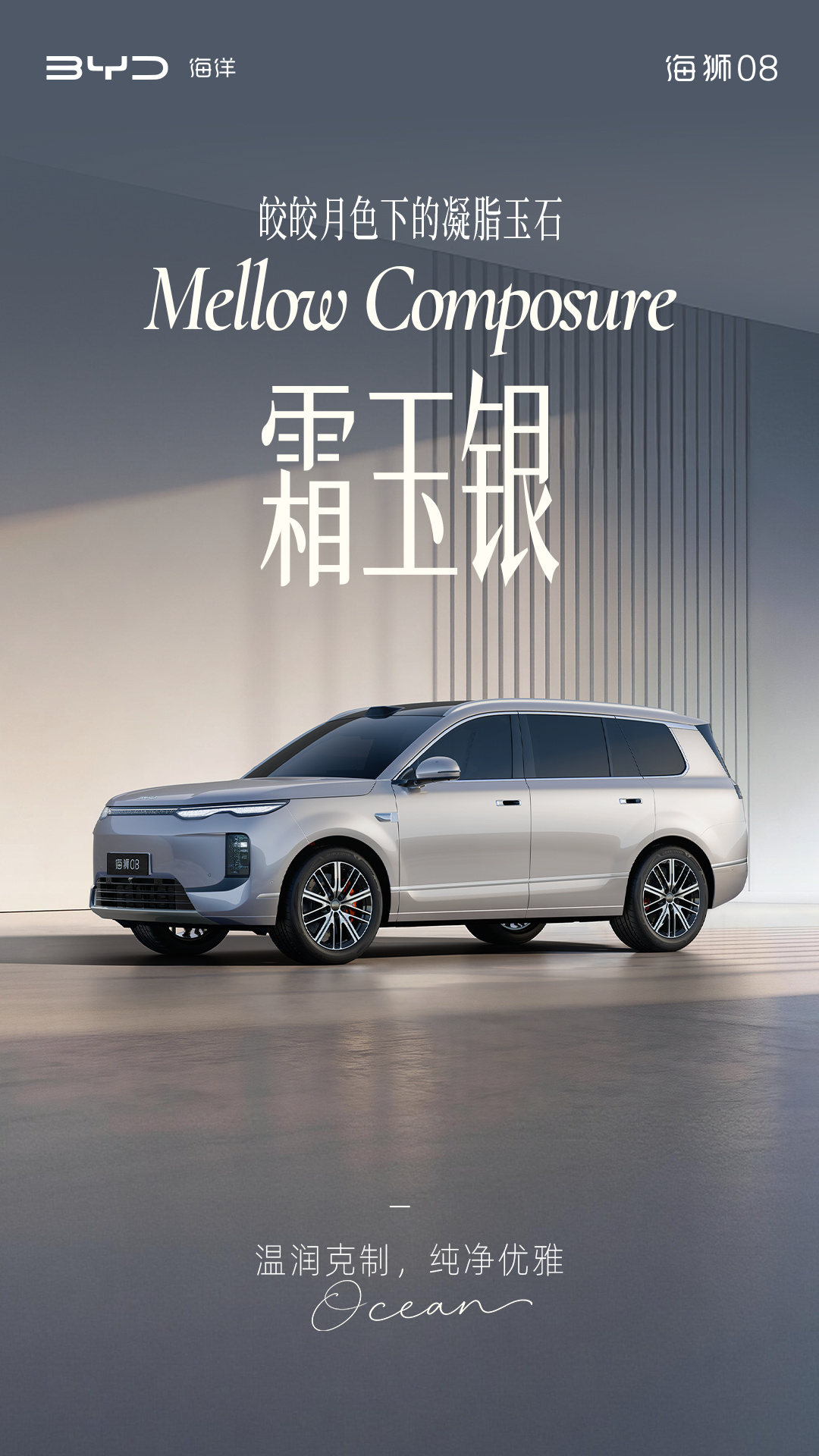 定位海洋旗舰 SUV，比亚迪公布海狮 08 多款高定车色